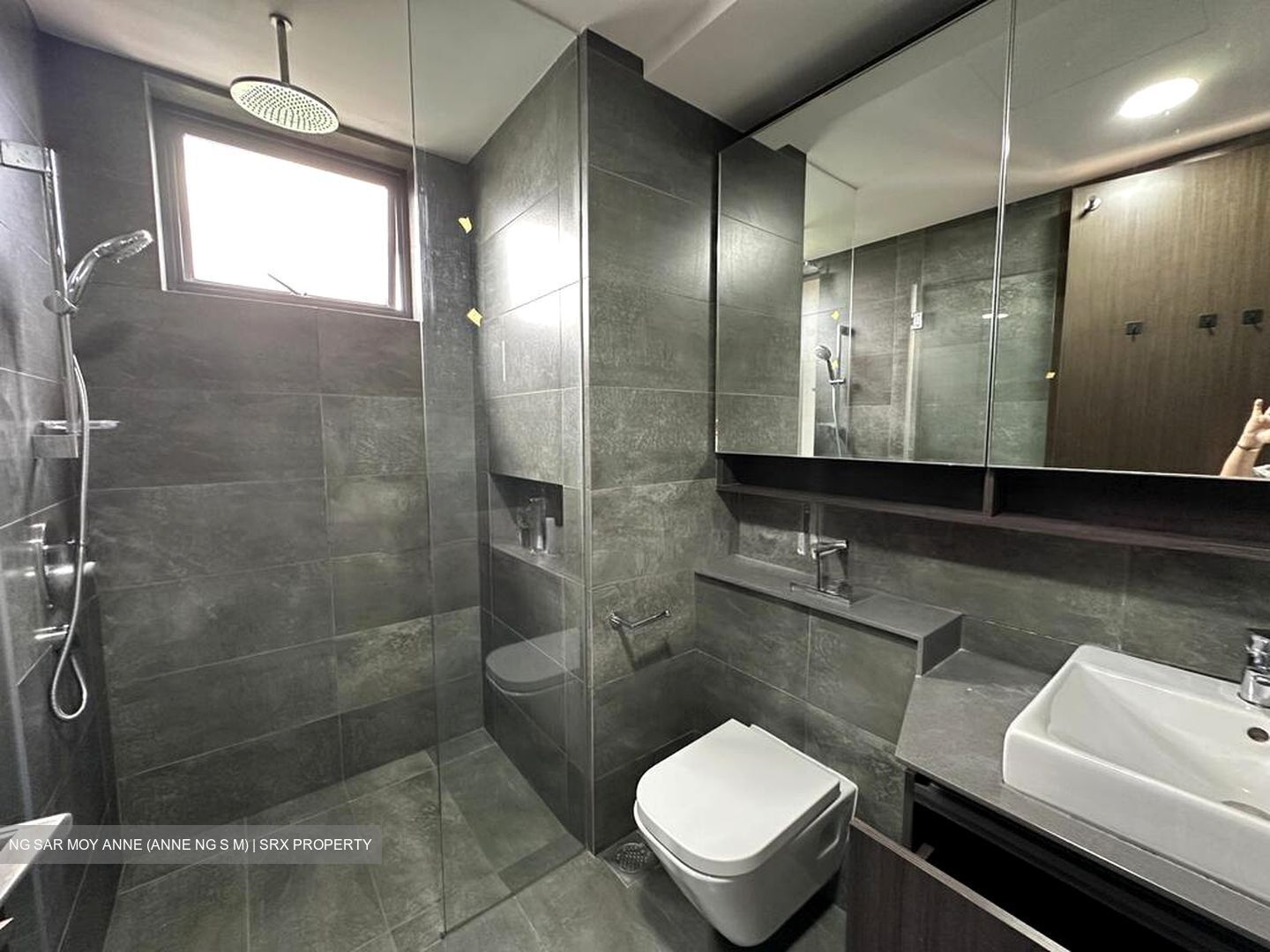Grandeur Park Residences (D16), Condominium #519873641